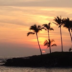 Meet your Posher, Surai